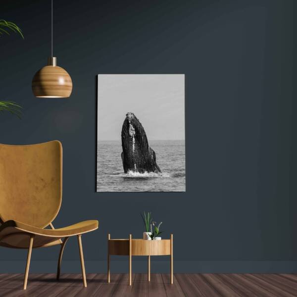 Humpback Whale