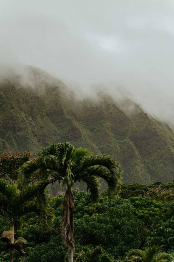 waimanalo mountains